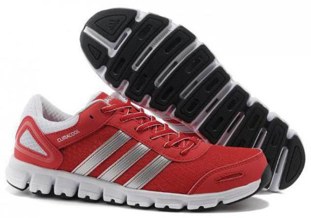 adidas climacool sneakers 