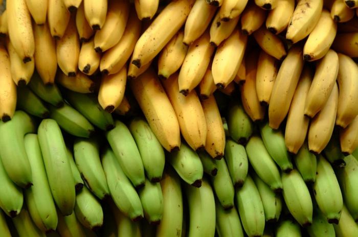 กล้วยเป็นสมุนไพรหรือผลไม้