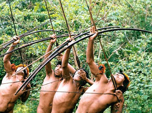 野生のアマゾンの部族