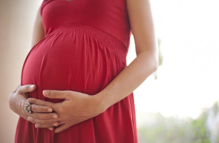 registro en una clínica prenatal por cuánto tiempo registrarse