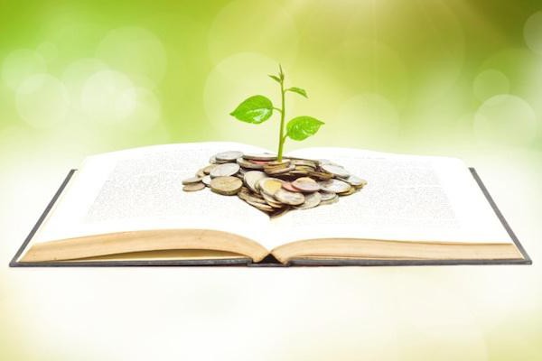 una selezione di libri sull'alfabetizzazione finanziaria