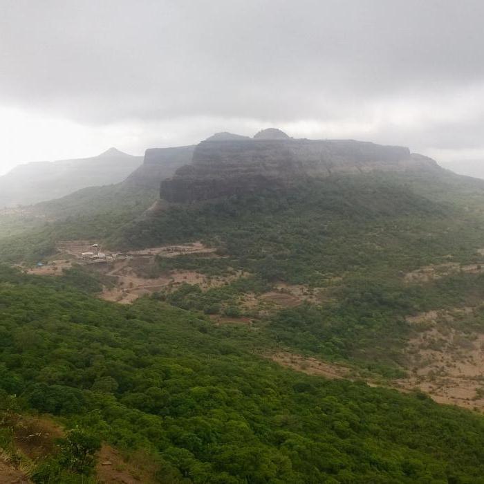 monsoon forests in Russia