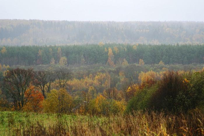 Valdai Nemzeti Park