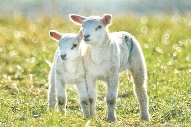 Frühlingswetterzeichen für Kinder