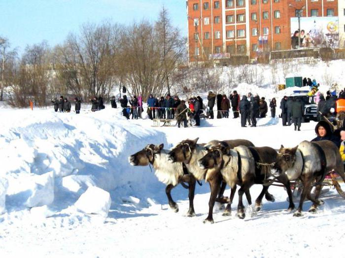 centrum zaměstnanosti nové urengoy 