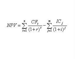 npv investment project 