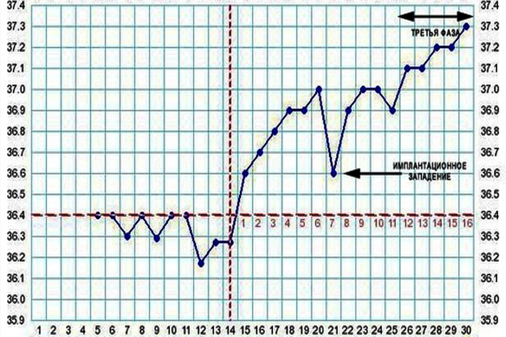 διάγραμμα βασικής θερμοκρασίας κατά τη διάρκεια της εγκυμοσύνης