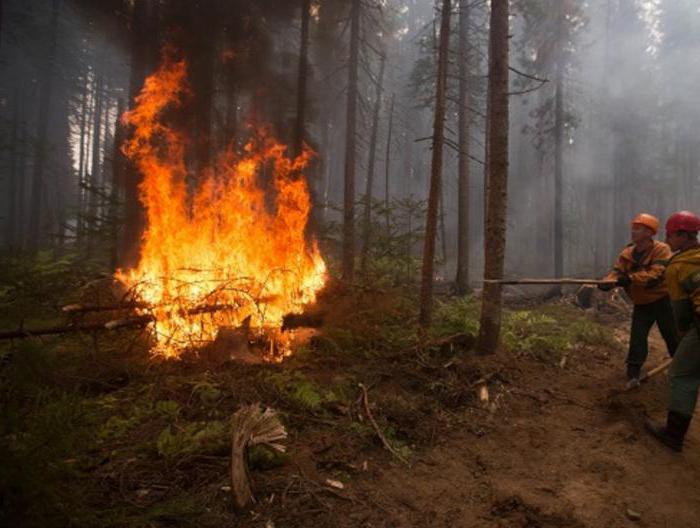 brandområde i Sibirien