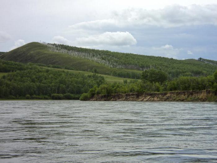 Shilka Nehri Transbaikal Bölgesi