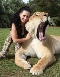 le plus gros chat du monde