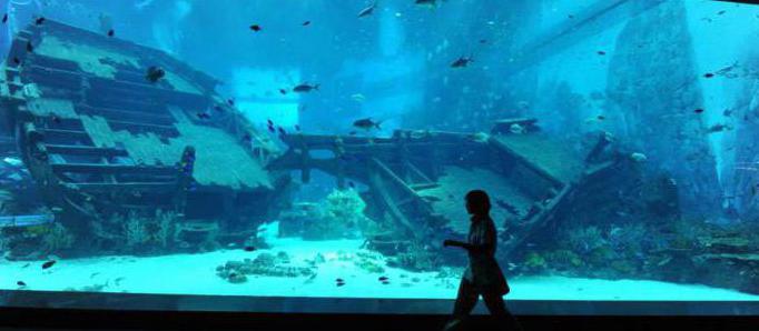 Maailman suurin akvaario