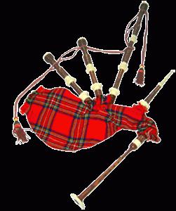 Národní symbol Skotska