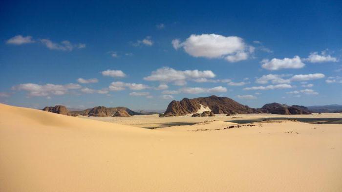 Sinajska pustinja