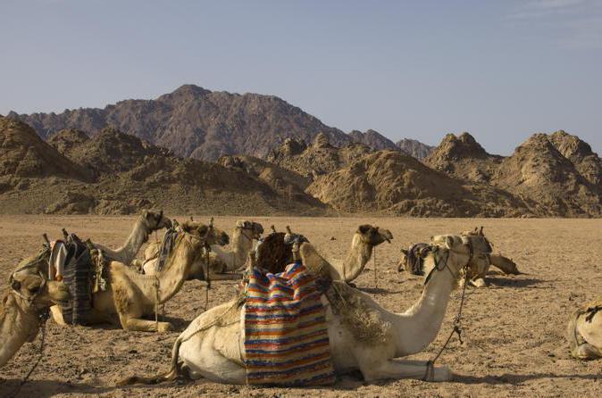storia del deserto del Sinai