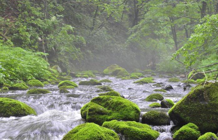 Réserve naturelle d'État dans le territoire de Primorsky