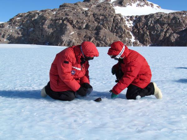 meteorite discovered by scientists in Antarctica