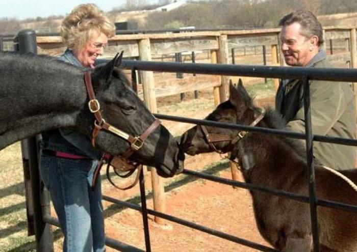 hippologie paardenwetenschap 