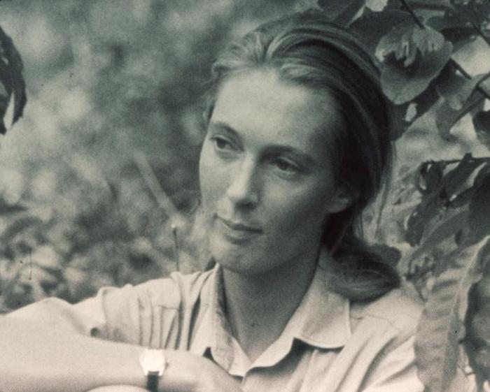 Jane Goodall Bücher