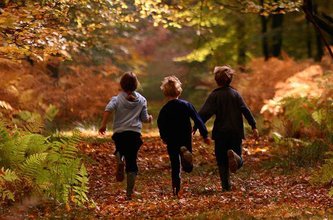 Quiz über den Herbst