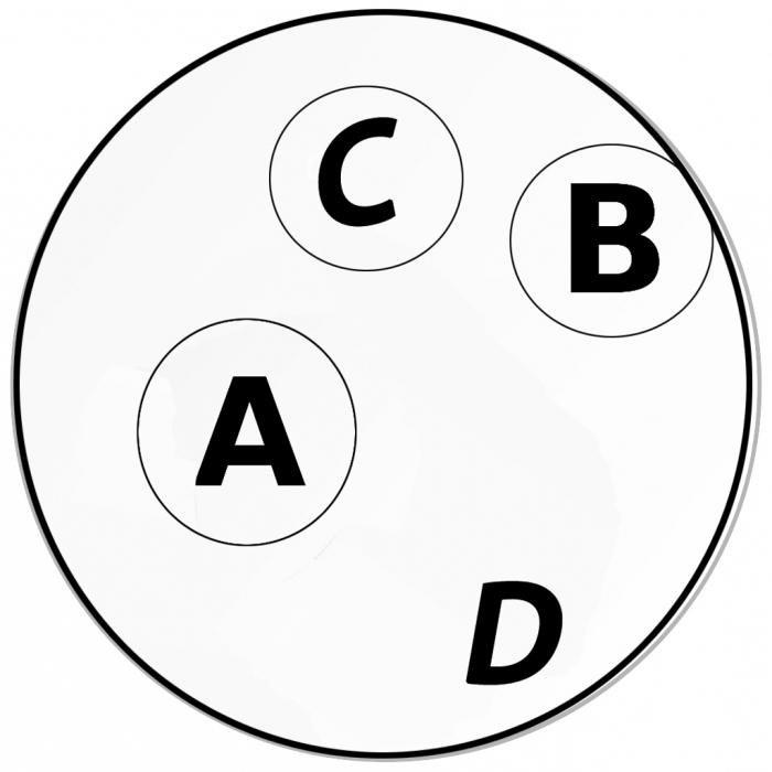 Euler Kreise gesetzt