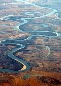 lista över Amur-bifloder
