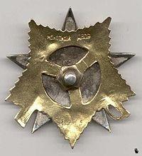 大祖国戦争の赤星勲章