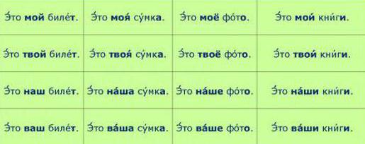 Bezittelijke voornaamwoorden in het Russisch. Voorbeelden.