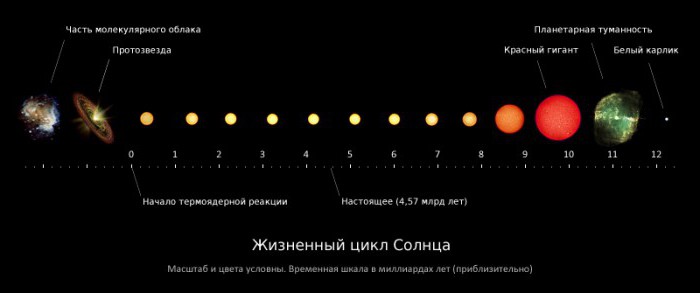 животни циклус звезде средње звезде