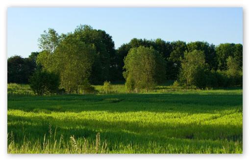 poesia della natura in versi di poeti russi del XIX secolo