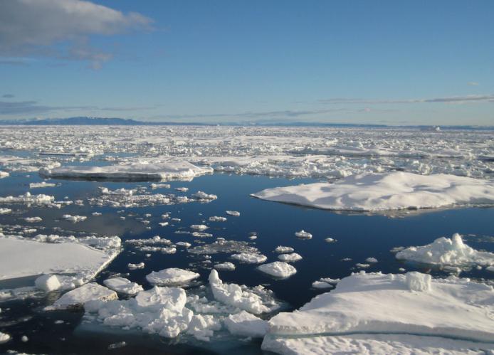 Арктическите морета на Русия 