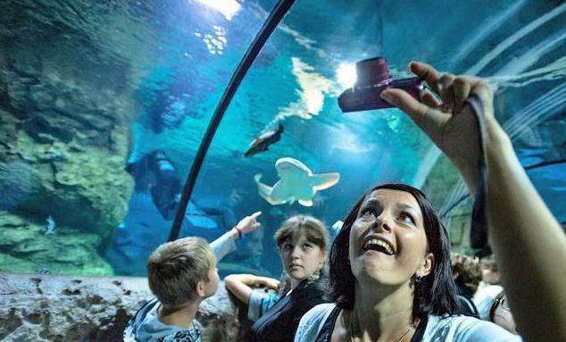 Oceanarium sur l'île russe de Vladivostok