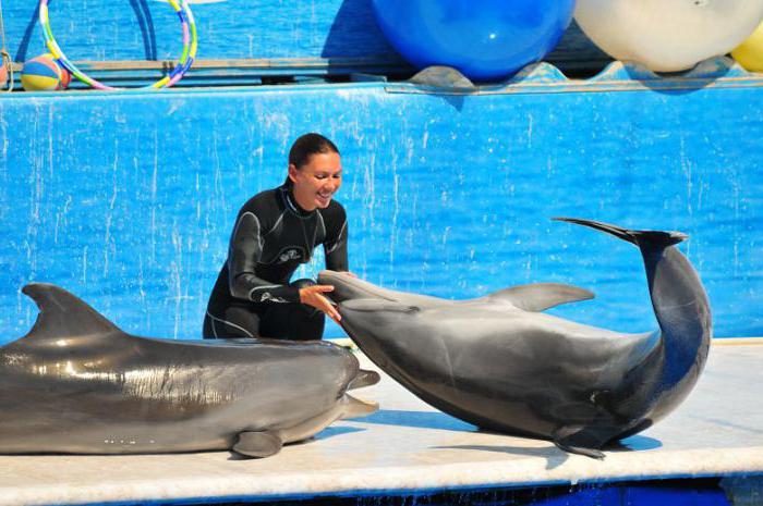 Dolphinariums of Crimea