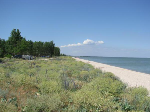 Dolzhanskaya Spit طويلة