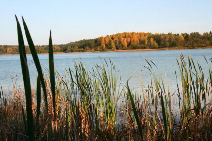 donzo lake cum se ajunge