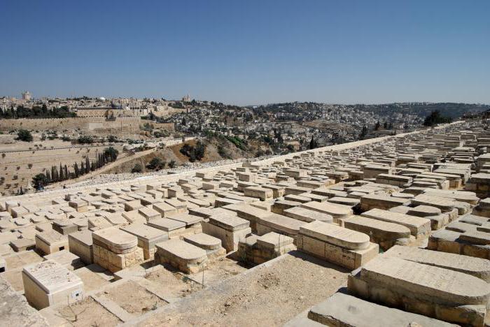 Monte das Oliveiras em Jerusalém