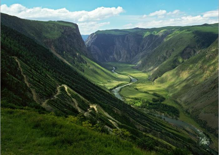 Altay Altın Dağları