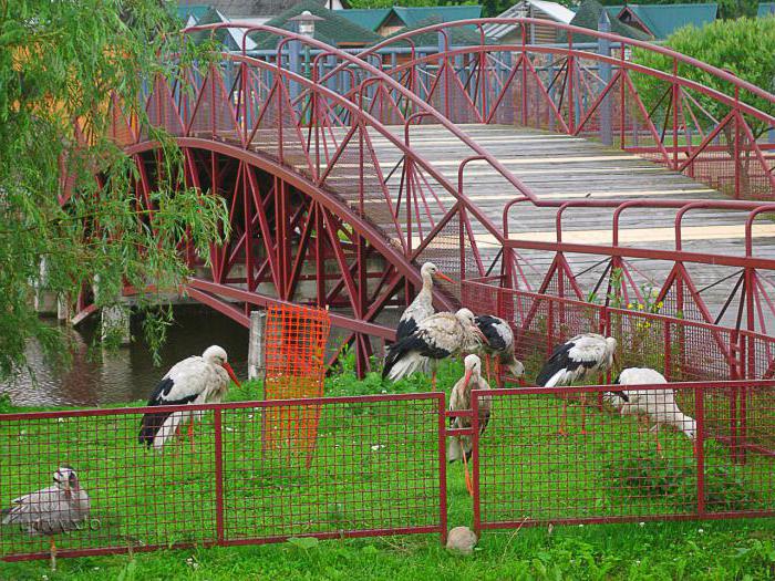 Fotografia zoologickej záhrady Grodno