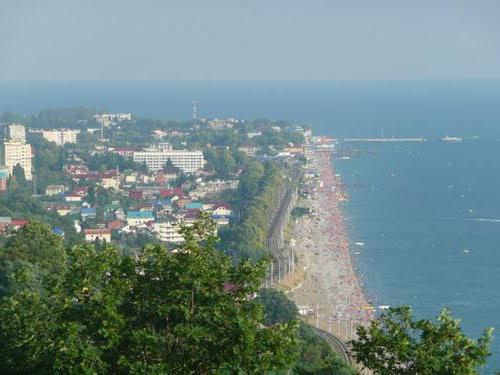 lazarevskoye kokteyl barı