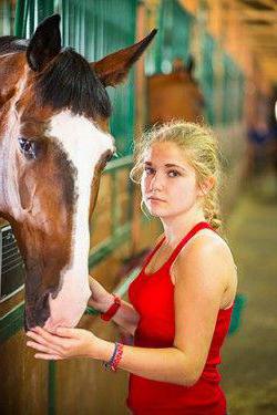 bons camps de chevaux