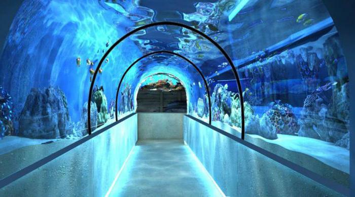  marina akvarium i Moskva