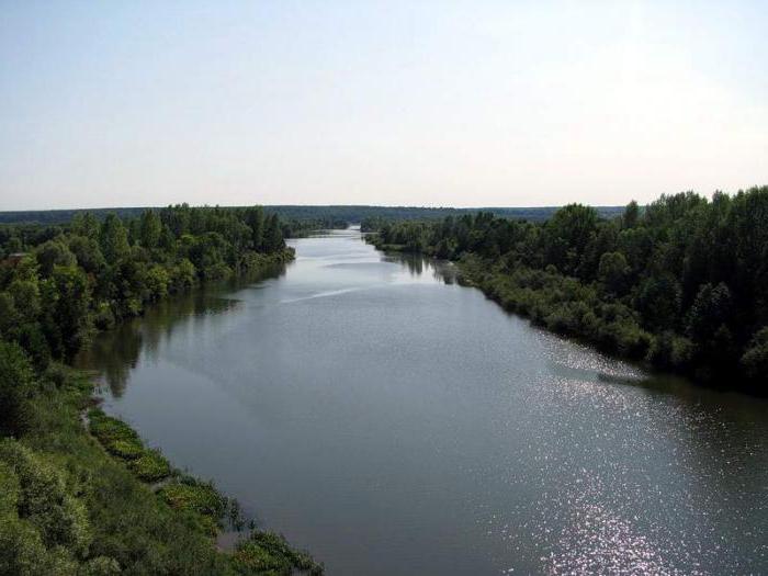 récréation du réservoir de Nizhnekamsk