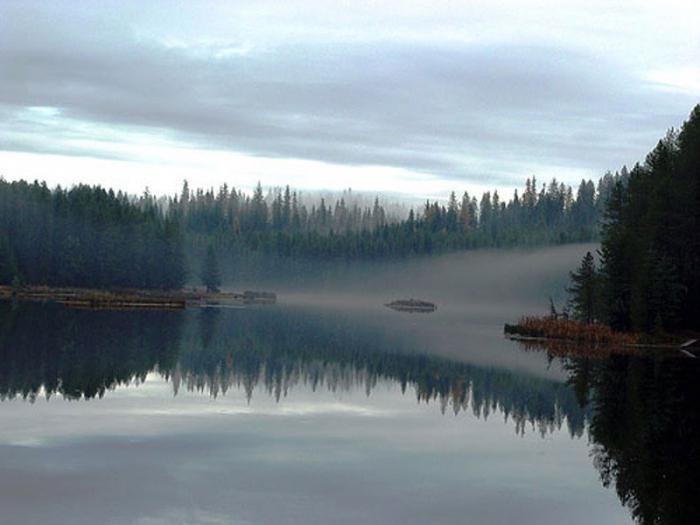 fiske på Mozhaisk-reservoaret 