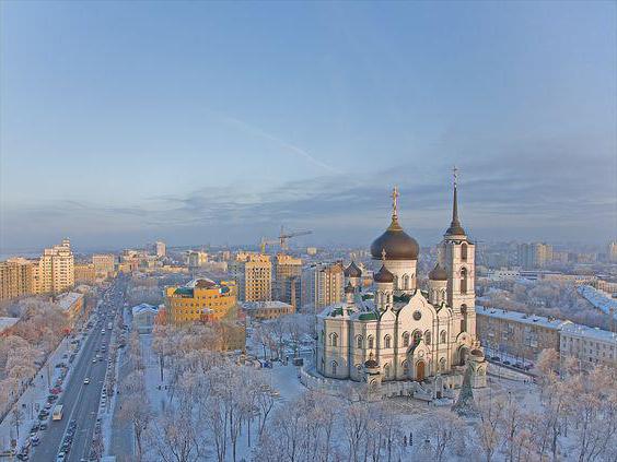 Воронеж Кам'яний міст