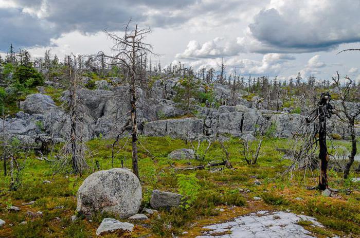  montagna vottovaara karelia