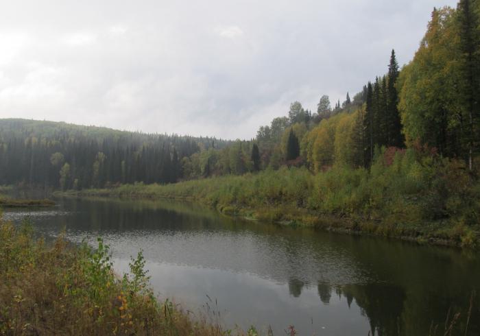 centre de loisirs région de novosibirsk sharap 