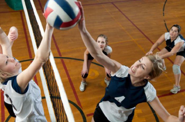 volleyball seksjon for voksne i Moskva