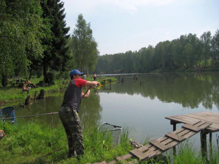 rapporter om fiske i Moskva-regionen om vintern 