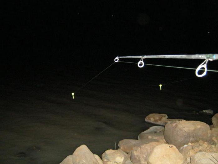 Gece balıkçılık için DIY elektronik ateş böceği