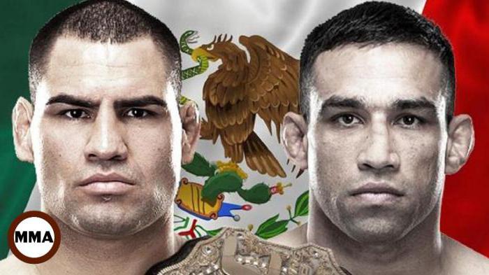 fabrizio werdum kane velazquez