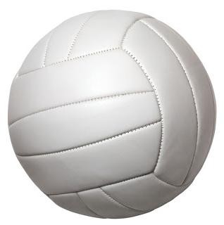 волейболна топка